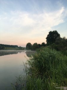 IMG_6930.JPG