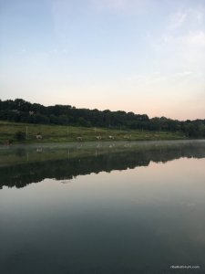 IMG_6932.JPG