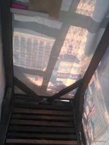 IMG_20170701_094509.jpg