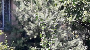 20170701_140116.jpg