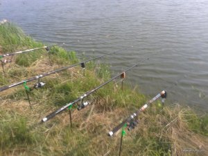 20170630_175814.jpg