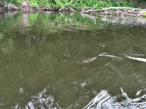 IMG_2398.JPG