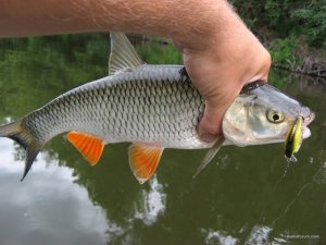 IMG_2407.JPG