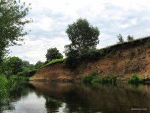 IMG_2441.JPG