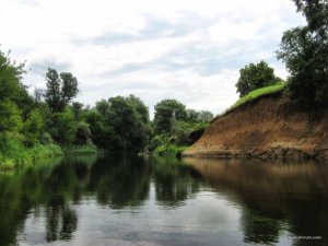 IMG_2442.JPG