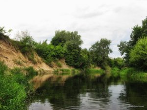IMG_2448.JPG