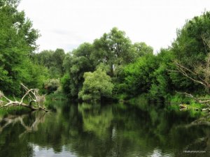 IMG_2457.JPG