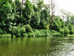 IMG_2462.JPG