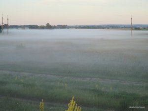IMG_3668.JPG