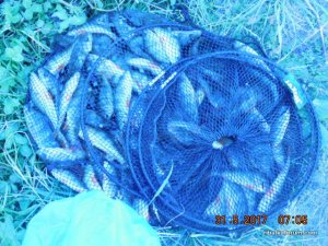 DSCN6193[1].JPG