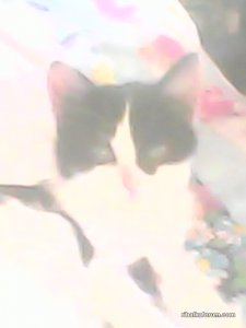IMG0041C.jpg