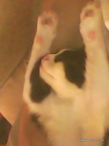 IMG0046A.jpg
