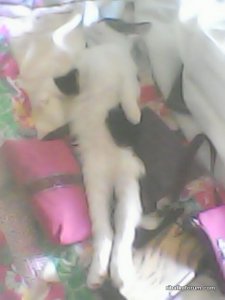 IMG0048A.jpg