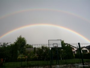 IMG_20170707_190553.jpg
