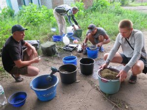 IMG_3721.JPG