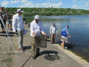 IMG_3730.JPG