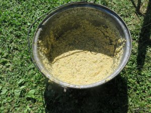IMG_3744.JPG