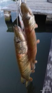 20170707_204609.jpg