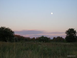 P1010020.JPG