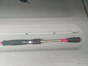 IMG_20170704_120801.jpg