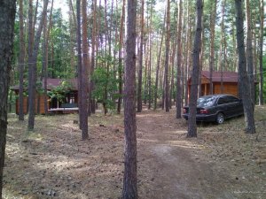 IMG_20170709_175530.jpg
