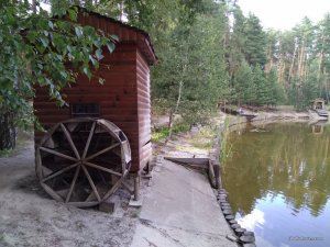 IMG_20170709_181646.jpg