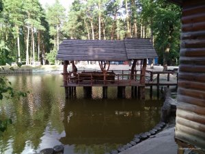IMG_20170709_181718.jpg