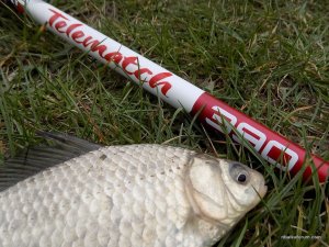 CARP EXPERT TELEMATCH-6 (1).jpg