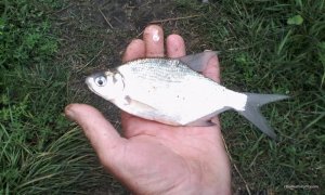 IMG_20170713_160607.jpg