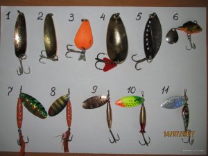 IMG_8200.JPG