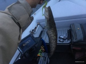 IMG_3123.JPG