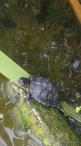 20170716_110522.jpg