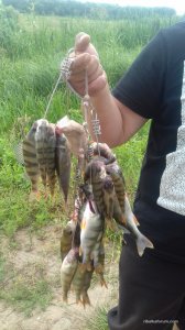 20170716_152520.jpg