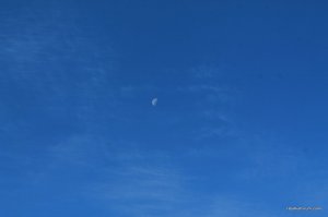 IMG_8037.JPG