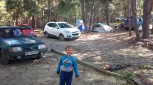 IMG_20170716_083755.jpg