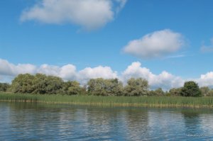 IMG_8077.JPG