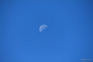 IMG_8081.JPG