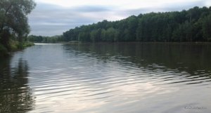 IMG_3002.JPG