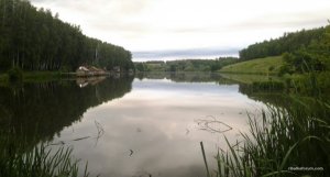 IMG_2971.JPG