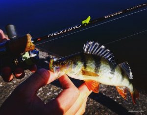 IMG_20170501_173728_756.jpg