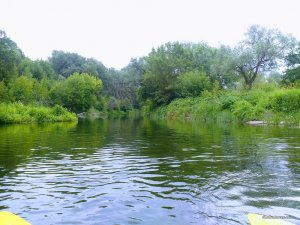 IMG_20170715_123327-EFFECTS.jpg