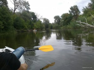 IMG_20170717_224551.jpg