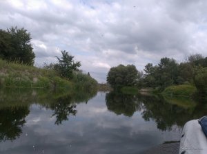 IMG_20170717_221643.jpg