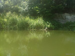 IMG_20170716_111130.jpg