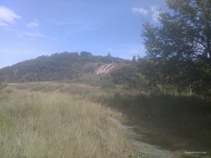 IMG_20170716_160313.jpg