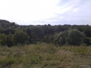 IMG_20170716_165453.jpg