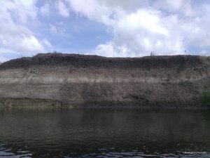 IMG_20170715_162140.jpg