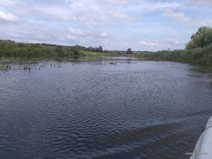 IMG_20170715_161551.jpg