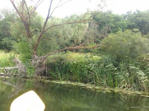 IMG_20170715_155638.jpg