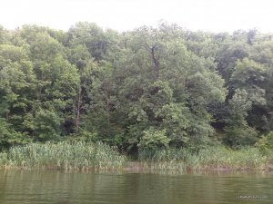 IMG_20170715_154135.jpg